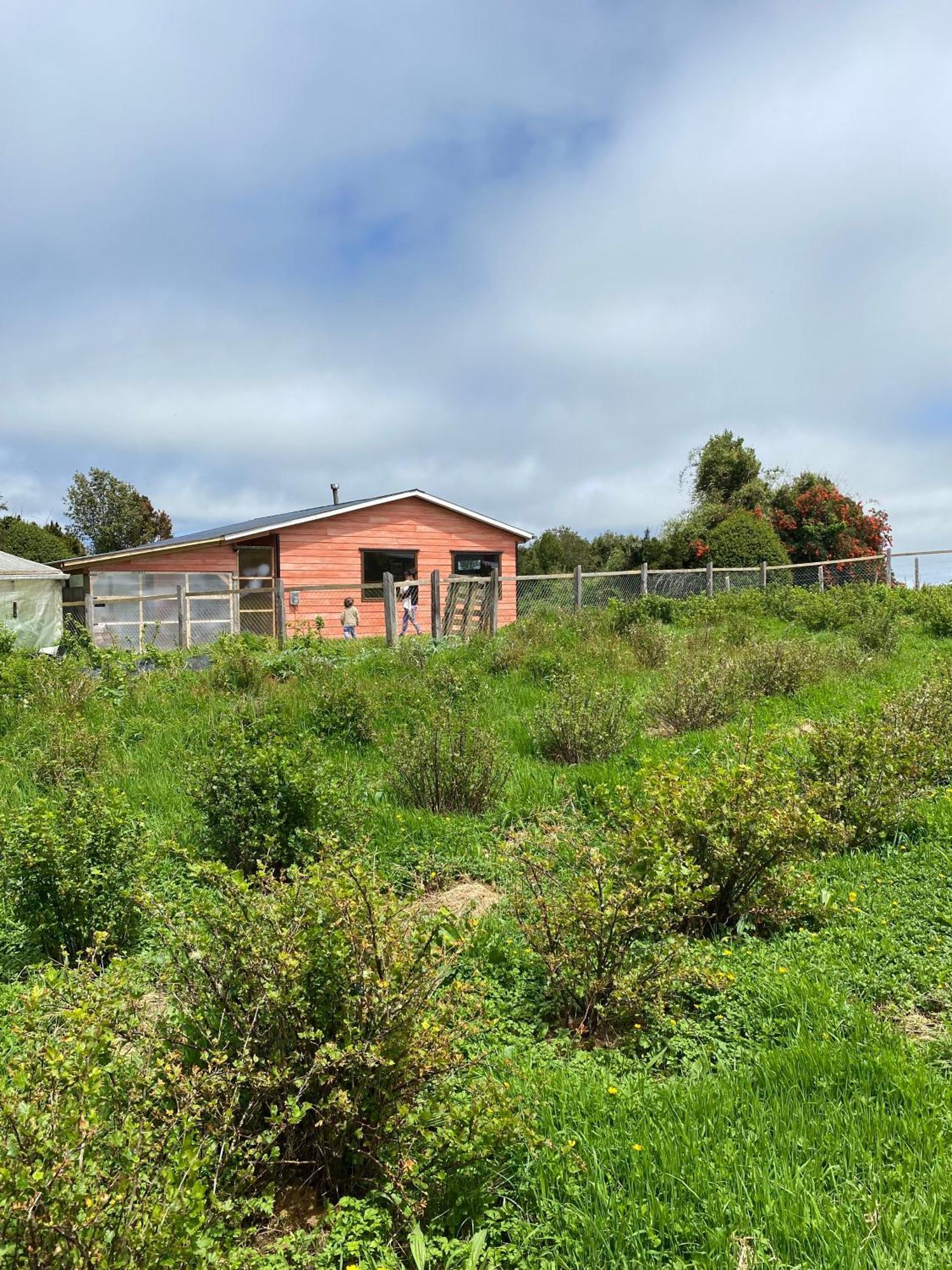 Cabana Nueva En Ancud Chiloe Quarto foto